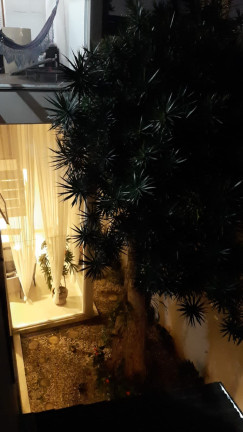 Imagem Sobrado com 3 Quartos à Venda, 340 m² em Cursino - Sp