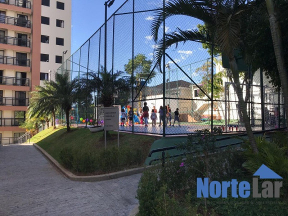 Imagem Apartamento com 3 Quartos à Venda, 60 m² em Vila Carbone - São Paulo