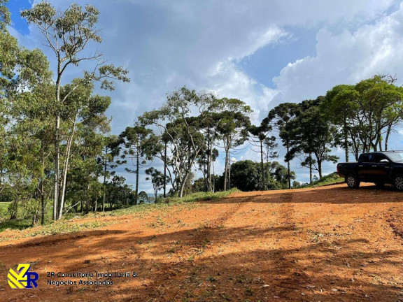 Imagem Chácara à Venda, 41 m² em Pitangueiras - Pedra Bela