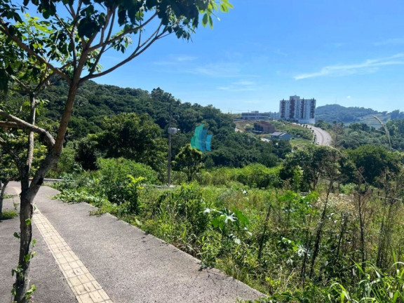 Imagem Terreno à Venda, 1.235 m² em Universitário - Bento Gonçalves Imagem Terreno à Venda, 1.235 m² em Universitário - Bento Gonçalves
