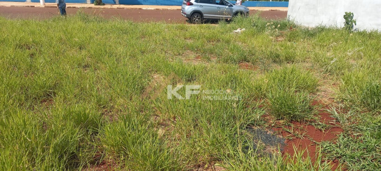 Imagem Terreno à Venda, 266 m² em Centro - Cravinhos Imagem Terreno à Venda, 266 m² em Centro - Cravinhos