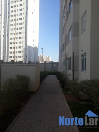 Imagem Apartamento com 2 Quartos à Venda, 45 m² em Jardim íris - São Paulo