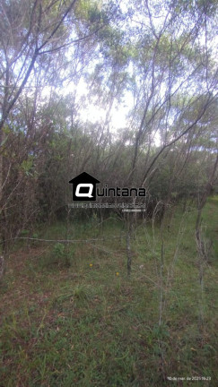 Imagem Imóvel com 2 Quartos à Venda, 700.000 m² em Centro - Herval
