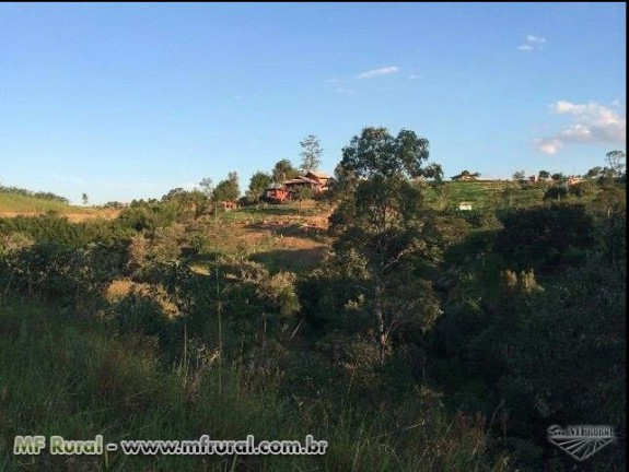 Imagem Fazenda à Venda, 28.000 m² em Joaquim Egídio - Campinas Imagem Fazenda à Venda, 28.000 m² em Joaquim Egídio - Campinas