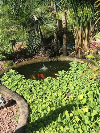 Imagem Casa com 2 Quartos à Venda,  em águas Claras - Viamão