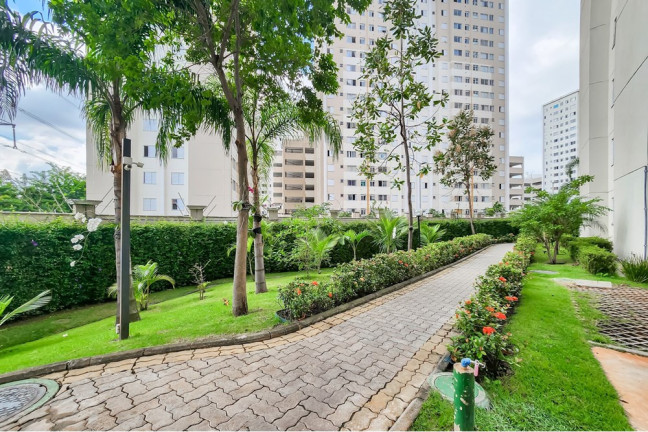 Imagem Apartamento com 2 Quartos à Venda, 44 m² em Jardim íris - São Paulo