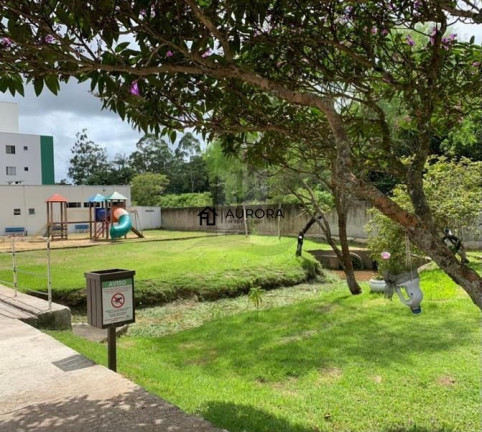 Imagem Apartamento com 2 Quartos à Venda, 54 m² em Cedro - Camboriú