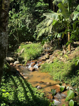 Imagem Chácara com 5 Quartos à Venda, 300 m² em Pedra De amolar - Corupá Imagem Chácara com 5 Quartos à Venda, 300 m² em Pedra De amolar - Corupá