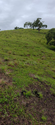 Imagem Imóvel à Venda,  em Tatetu - Alambari