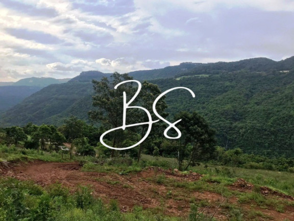 Imagem Imóvel à Venda, 30.000 m² em Linha Pirajá Baixa - Nova Petrópolis Imagem Imóvel à Venda, 30.000 m² em Linha Pirajá Baixa - Nova Petrópolis