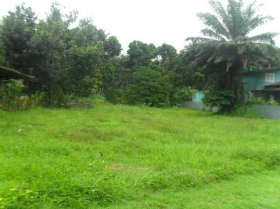Imagem Terreno à Venda, 1.170 m² em Residencial Park Hills - Ubatuba Imagem Terreno à Venda, 1.170 m² em Residencial Park Hills - Ubatuba