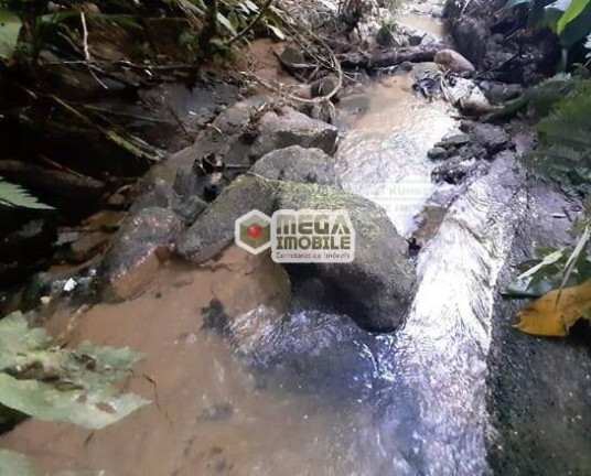 Imagem Terreno à Venda, 20.000 m² em Fazenda 1 - águas Mornas Imagem Terreno à Venda, 20.000 m² em Fazenda 1 - águas Mornas