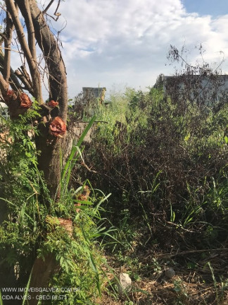 Terreno à Venda, 360 m² em Saracuruna - Duque De Caxias