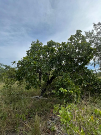 Imagem Imóvel à Venda,  em São Félix Do Tocantins/to - São Félix Do Tocantins