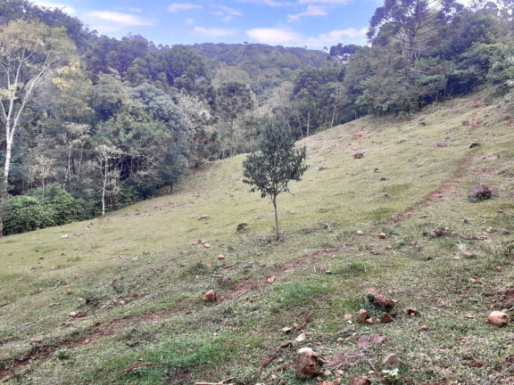 Imagem Chácara com 4 Quartos à Venda, 130.000 m² em Linha Santa Cruz - Santa Cruz Do Sul Imagem Chácara com 4 Quartos à Venda, 130.000 m² em Linha Santa Cruz - Santa Cruz Do Sul