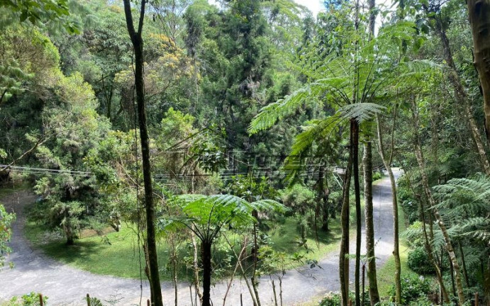 Imagem Imóvel à Venda, 4.814 m² em Campos Do Jordão - Campos Do Jordão Imagem Imóvel à Venda, 4.814 m² em Campos Do Jordão - Campos Do Jordão