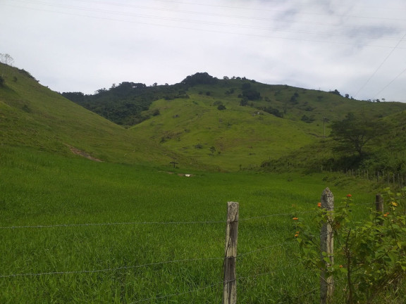 Imagem Fazenda à Venda, 1.930.000 m² em Centro - Trajano De Morais