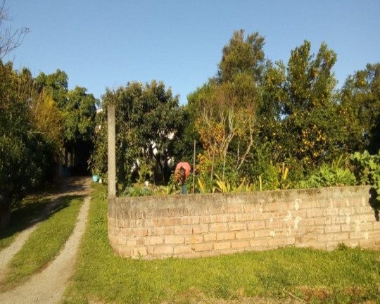 Imagem Imóvel com 3 Quartos à Venda,  em Vale Verde - Nova Petrópolis