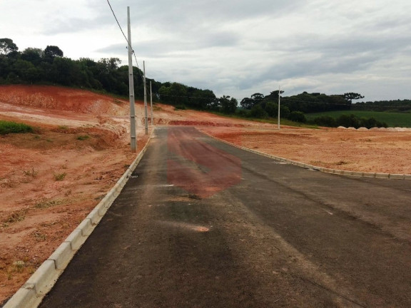 Imagem Terreno à Venda, 371 m² em Centro - Balsa Nova Imagem Terreno à Venda, 371 m² em Centro - Balsa Nova