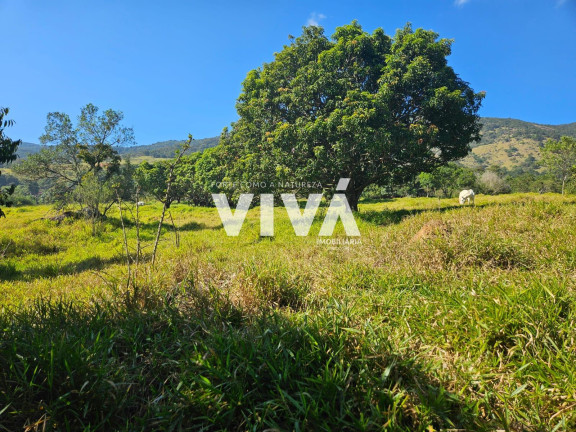 Imagem Terreno à Venda, 32 m² em Ponte Alta - Extrema Imagem Terreno à Venda, 32 m² em Ponte Alta - Extrema