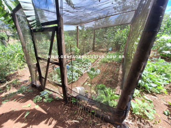 Imagem Chácara com 3 Quartos à Venda, 7.500 m² em Zona Rural - Morungaba Imagem Chácara com 3 Quartos à Venda, 7.500 m² em Zona Rural - Morungaba