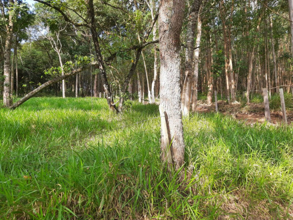 Imagem Terreno à Venda, 2 m² em Morro Grande Da Boa Vista - Bragança Paulista Imagem Terreno à Venda, 2 m² em Morro Grande Da Boa Vista - Bragança Paulista