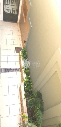 Imagem Sobrado com 3 Quartos à Venda, 200 m² em Vila Romana - São Paulo Imagem Sobrado com 3 Quartos à Venda, 200 m² em Vila Romana - São Paulo
