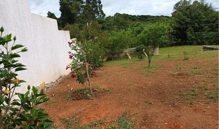 Imagem Fazenda à Venda, em Centro - Contenda Imagem Fazenda à Venda, em Centro - Contenda