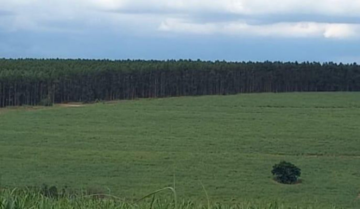 Imagem Fazenda à Venda, 97 m² em Rural - Piracicaba Imagem Fazenda à Venda, 97 m² em Rural - Piracicaba