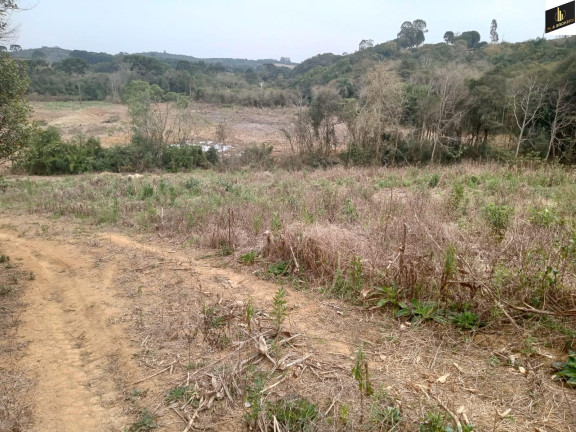 Imagem Imóvel à Venda, 96.800 m² em Colonia Marcelino - São José Dos Pinhais