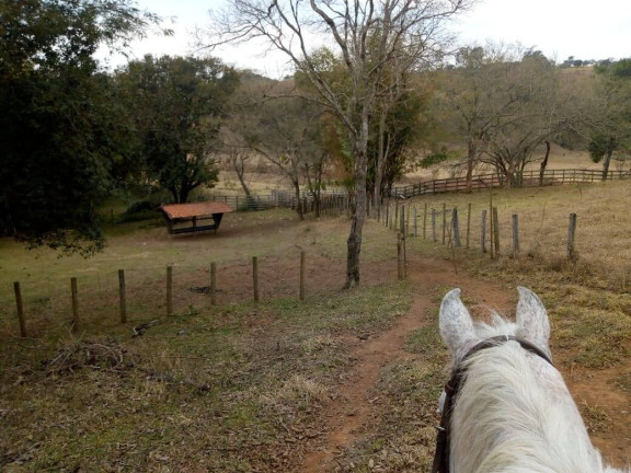 Imagem Chácara com 3 Quartos à Venda, 532 m² em Zona Rural - Cambuí