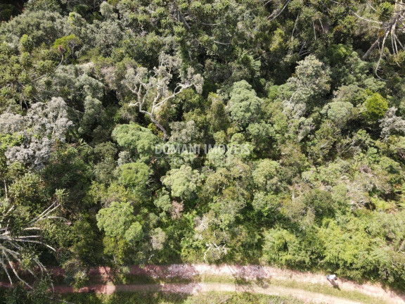 Imagem Terreno à Venda, 5.100 m² em Região Do Atalaia - Campos Do Jordão Imagem Terreno à Venda, 5.100 m² em Região Do Atalaia - Campos Do Jordão