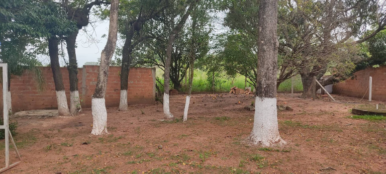 Imagem Chácara com 3 Quartos à Venda, 1.180 m² em Cerrado - Alambari