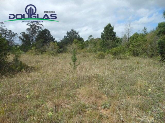 Imagem Imóvel Comercial à Venda, 3.640 m² em Morro Grande - Viamão Imagem Imóvel Comercial à Venda, 3.640 m² em Morro Grande - Viamão