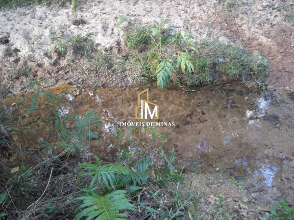 Terreno à Venda, 20.000 m² em Zona Rural - Piedade Dos Gerais