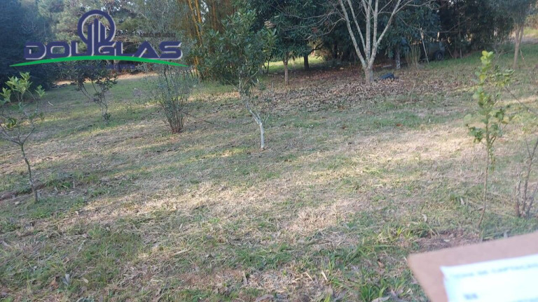 Imagem Casa com 3 Quartos à Venda, 5.000 m² em Viamão Imagem Casa com 3 Quartos à Venda, 5.000 m² em Viamão