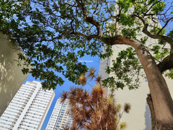 Imagem Imóvel com 2 Quartos à Venda, 74 m² em Aclimação - São Paulo Imagem Imóvel com 2 Quartos à Venda, 74 m² em Aclimação - São Paulo