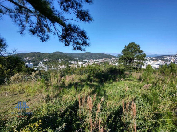 Imagem Terreno à Venda, 450 m² em Itacorubi - Florianópolis Imagem Terreno à Venda, 450 m² em Itacorubi - Florianópolis