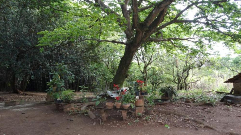 Imóvel à Venda, 87.900 m² em Jardim Do Cedro - São José Do Rio Preto