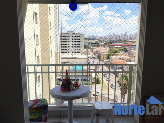 Imagem Apartamento com 3 Quartos à Venda, 64 m² em Vila Guilherme - São Paulo