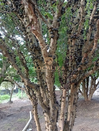Imagem Imóvel com 1 Quarto à Venda, em Santa Luzia - Caçapava Imagem Imóvel com 1 Quarto à Venda, em Santa Luzia - Caçapava