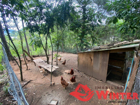 Imagem Chácara à Venda, 63.000 m² em São Roque - Feliz