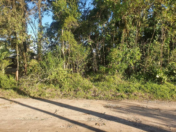 Terreno à Venda, 405 m² em Costeira - Balneário Barra Do Sul
