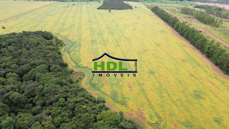 Imagem Fazenda à Venda, 106 m² em Zona Rural - Aragoiânia Imagem Fazenda à Venda, 106 m² em Zona Rural - Aragoiânia