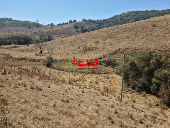 Imagem Imóvel com 2 Quartos à Venda, em Zona Rural De Pouso Alto - Mg - Pouso Alto Imagem Imóvel com 2 Quartos à Venda, em Zona Rural De Pouso Alto - Mg - Pouso Alto