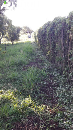 Imagem Terreno à Venda, 20.000 m² em Cercado - Araçoiaba Da Serra