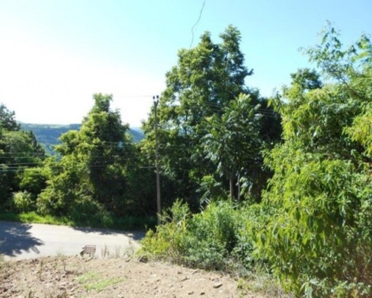 Imagem Terreno à Venda, 1.430 m² em Vila Olinda - Nova Petrópolis Imagem Terreno à Venda, 1.430 m² em Vila Olinda - Nova Petrópolis