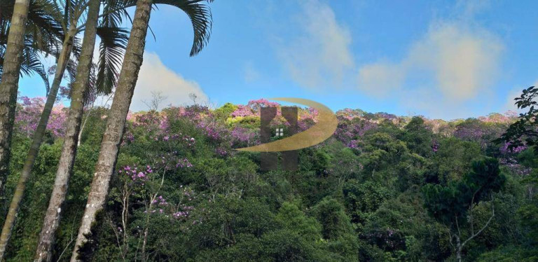 Imagem Casa com 3 Quartos à Venda, 20.000 m² em Taiaçupeba - Mogi Das Cruzes Imagem Casa com 3 Quartos à Venda, 20.000 m² em Taiaçupeba - Mogi Das Cruzes