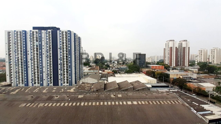 Imagem Apartamento com 1 Quarto para Alugar, 30 m² em Jardim Caravelas - São Paulo