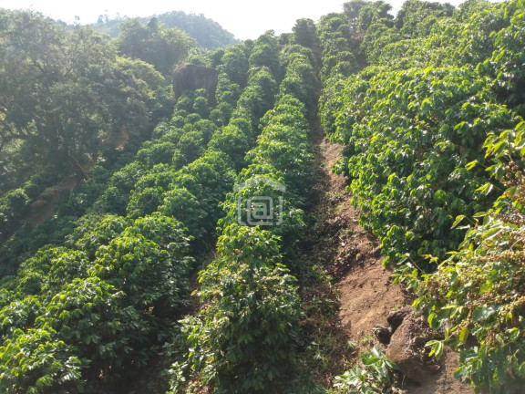 Imagem Imóvel à Venda, 1 m² em Souza Lima - Poços De Caldas